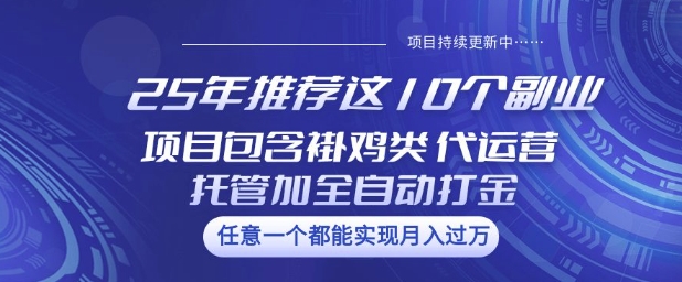 25年推荐这10个副业项目包含褂鸡类、代运营托管类、全自动打金类【揭秘】-网赚之家