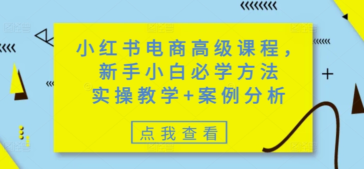 小红书电商高级课程，新手小白必学方法，实操教学+案例分析-网赚之家